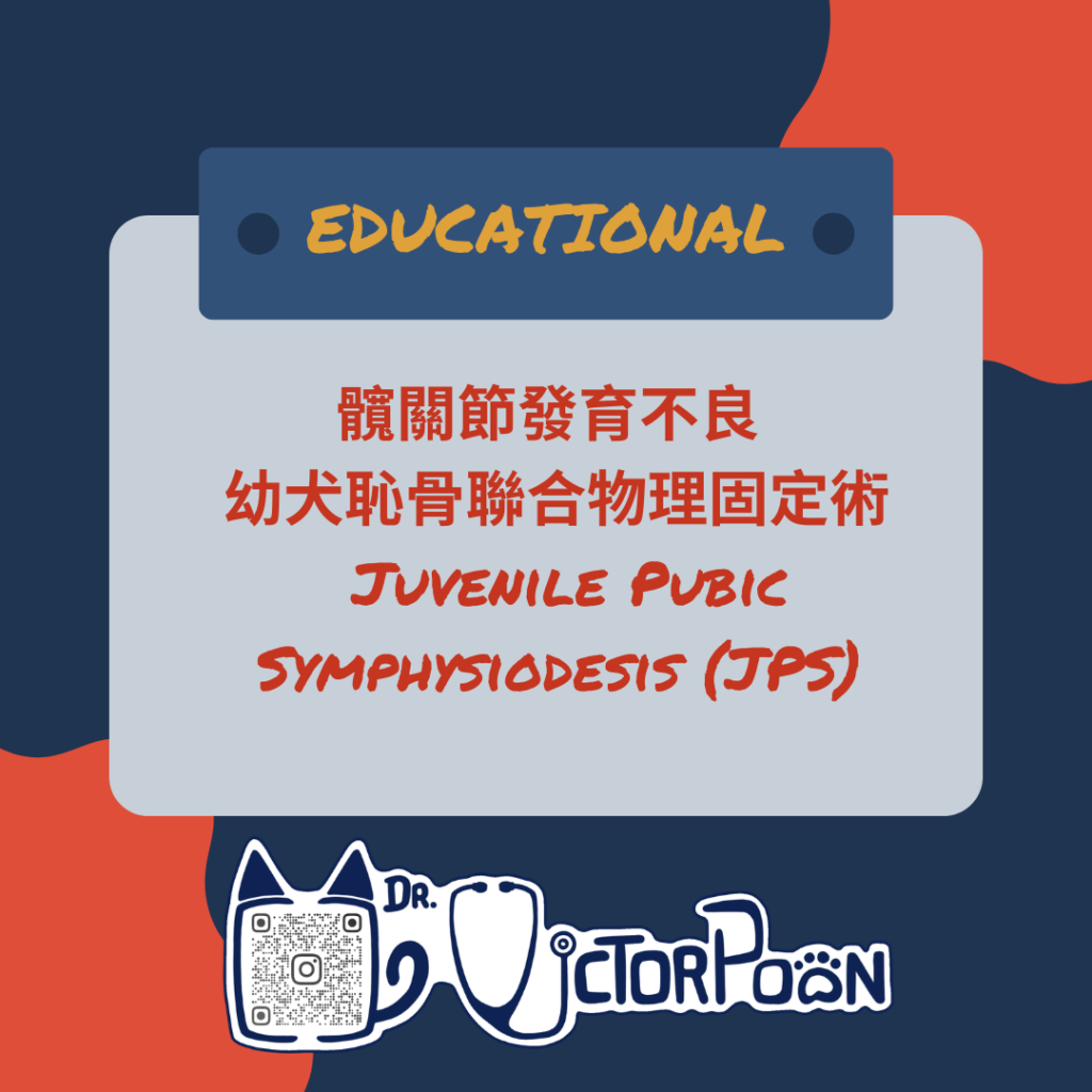 4hip jps