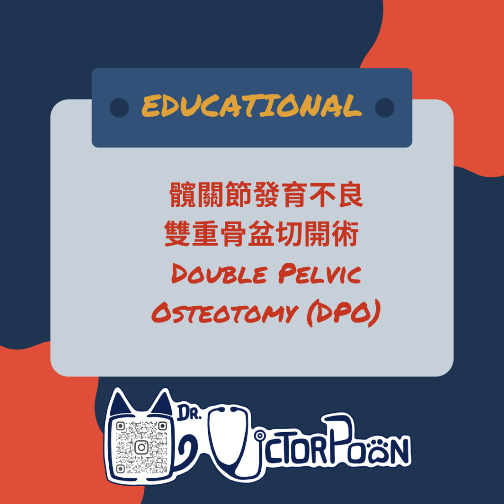 5hip dysplasia dpo