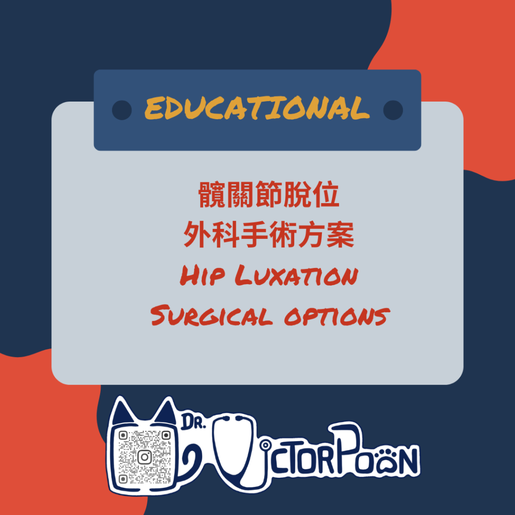 8hip luxation