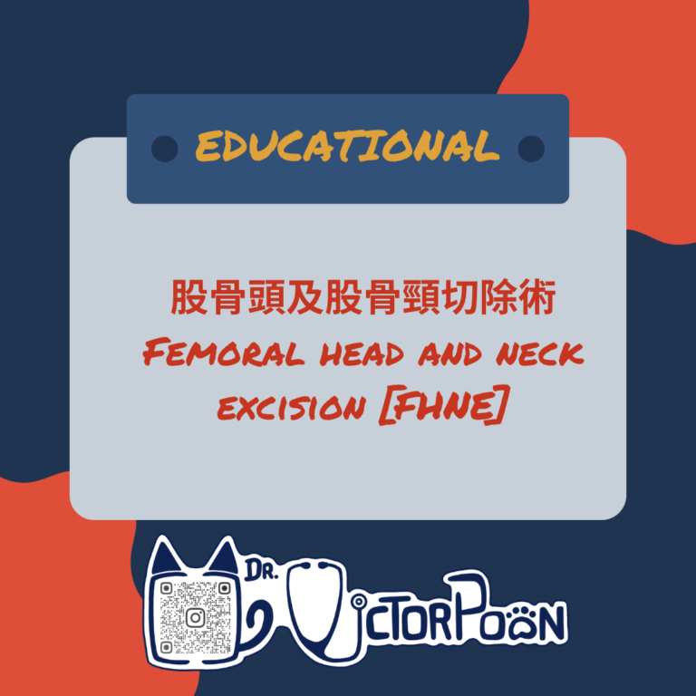 9femoral neck fracture