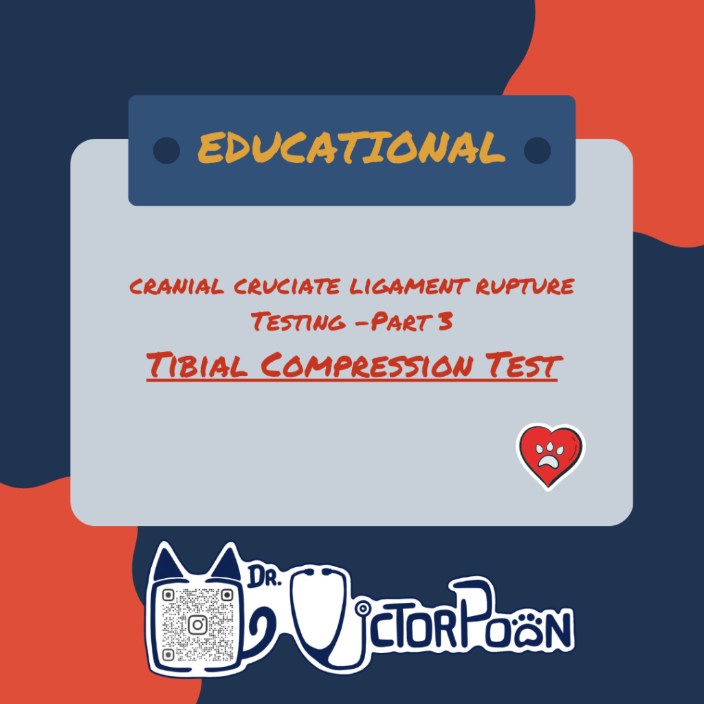 Tibial Compression Test 🦵 cclr part 3
