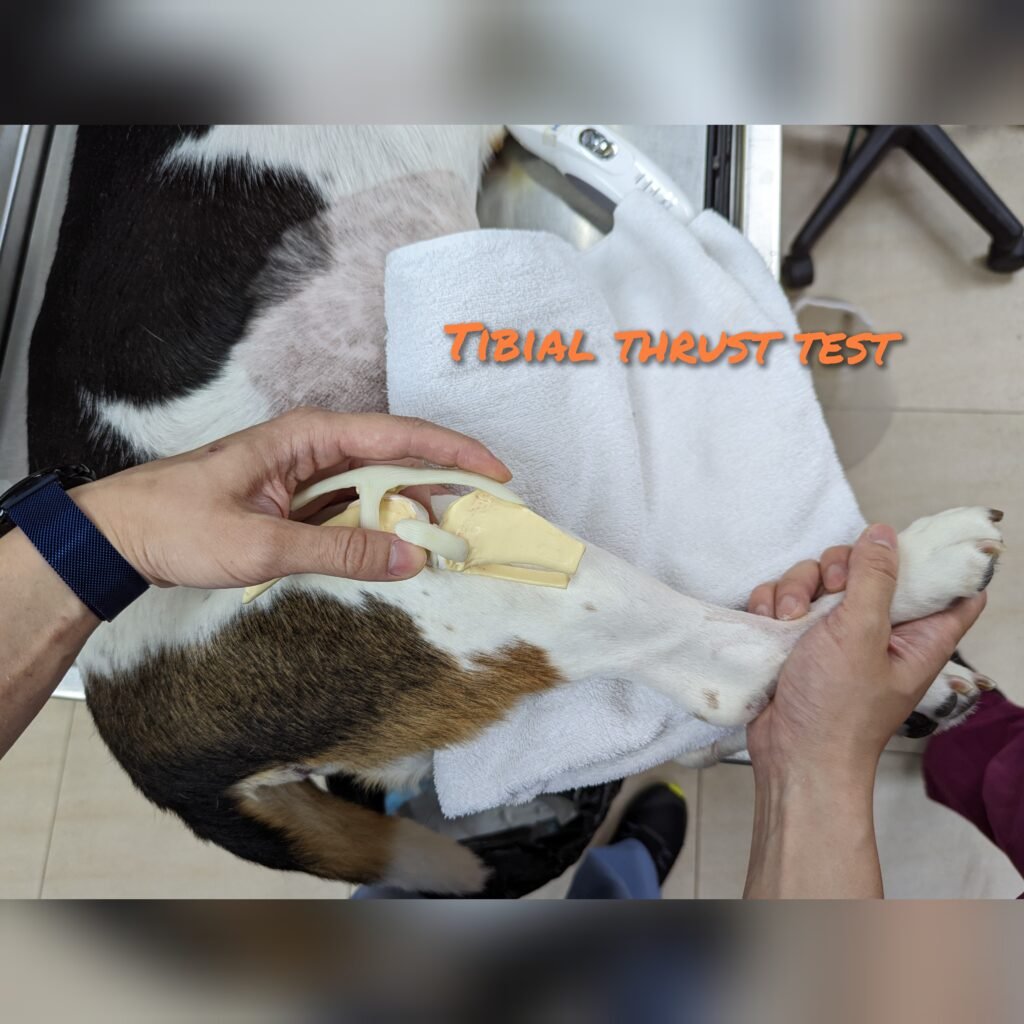 gridart 20221010 114545032