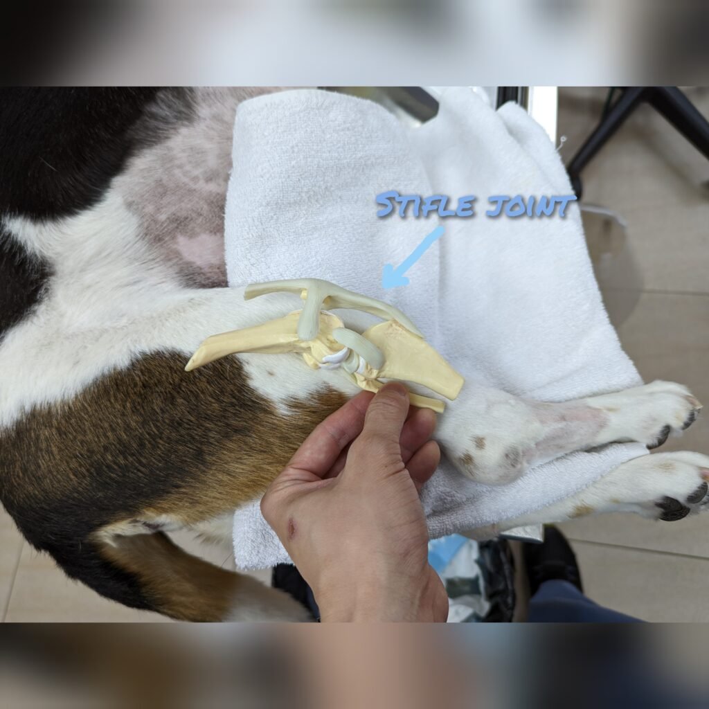 gridart 20221010 114657226