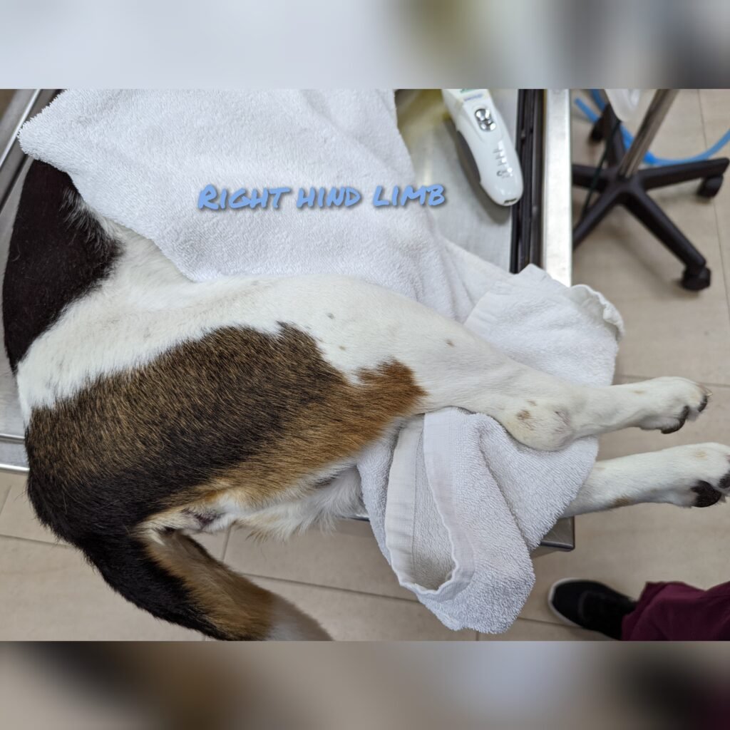 gridart 20221010 114843763