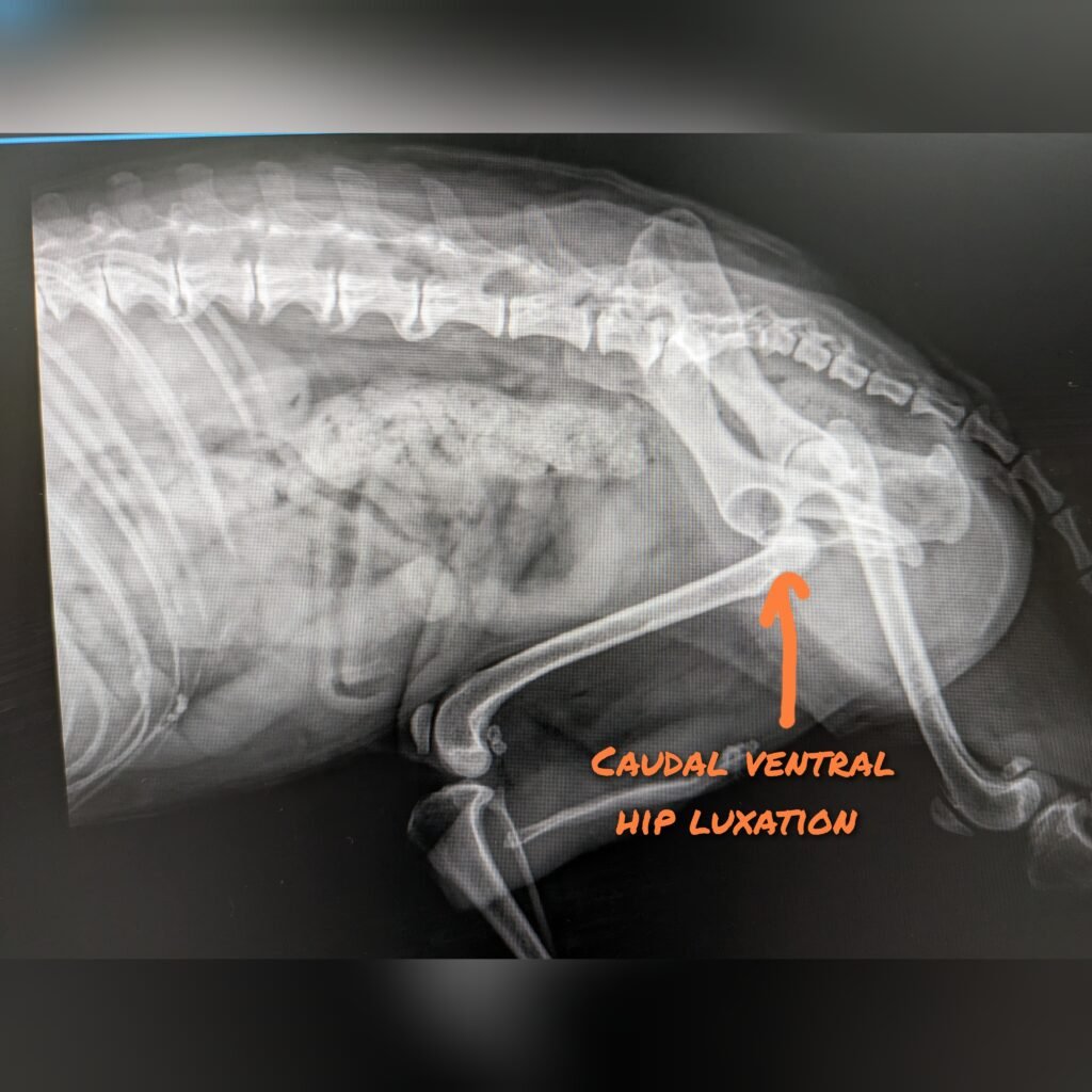 gridart 20230828 123712524