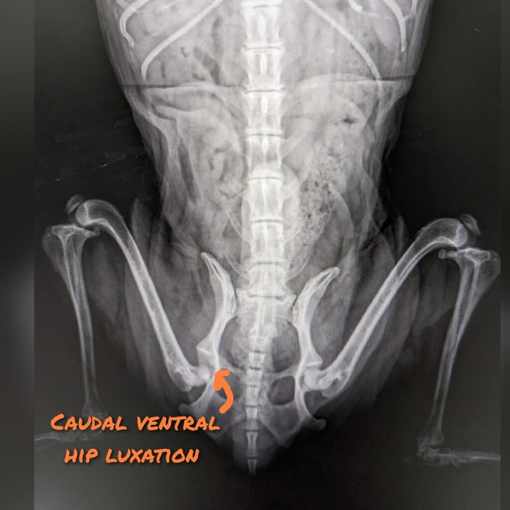 gridart 20230828 123821276