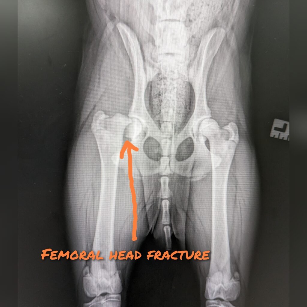 gridart 20230828 210604941