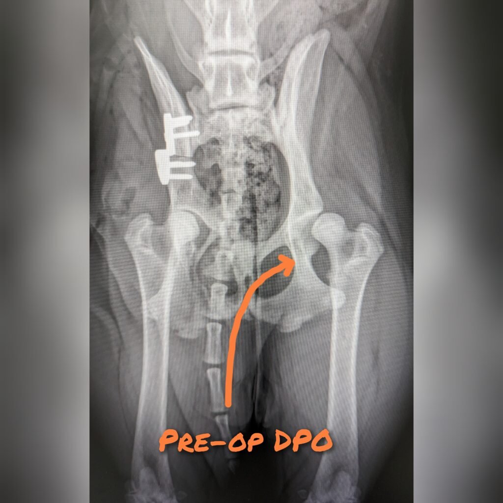 gridart 20240215 161831196