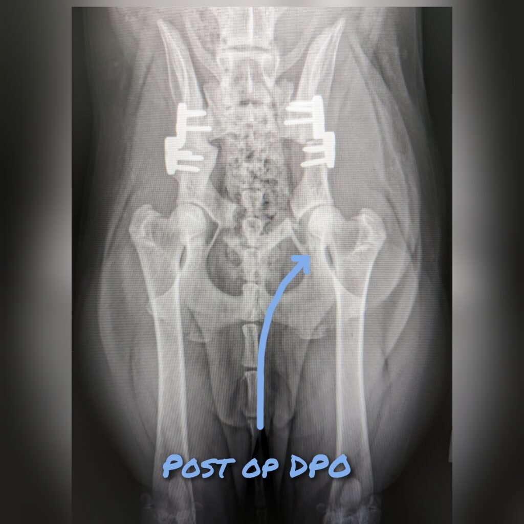 gridart 20240215 162001517