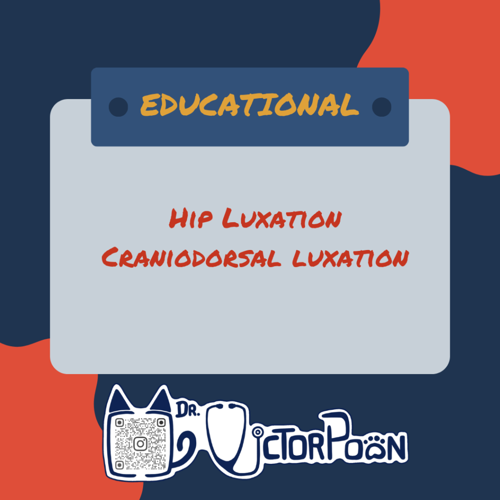 hl craniodorsal luxation