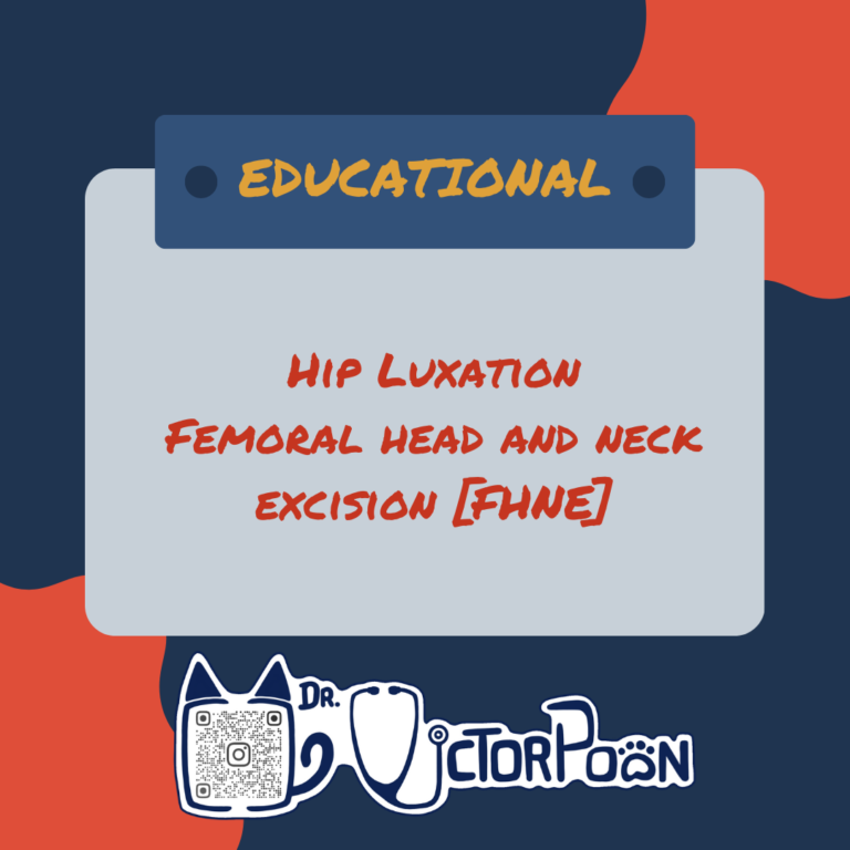 hip luxation – femoral head and neck excision [fhne]