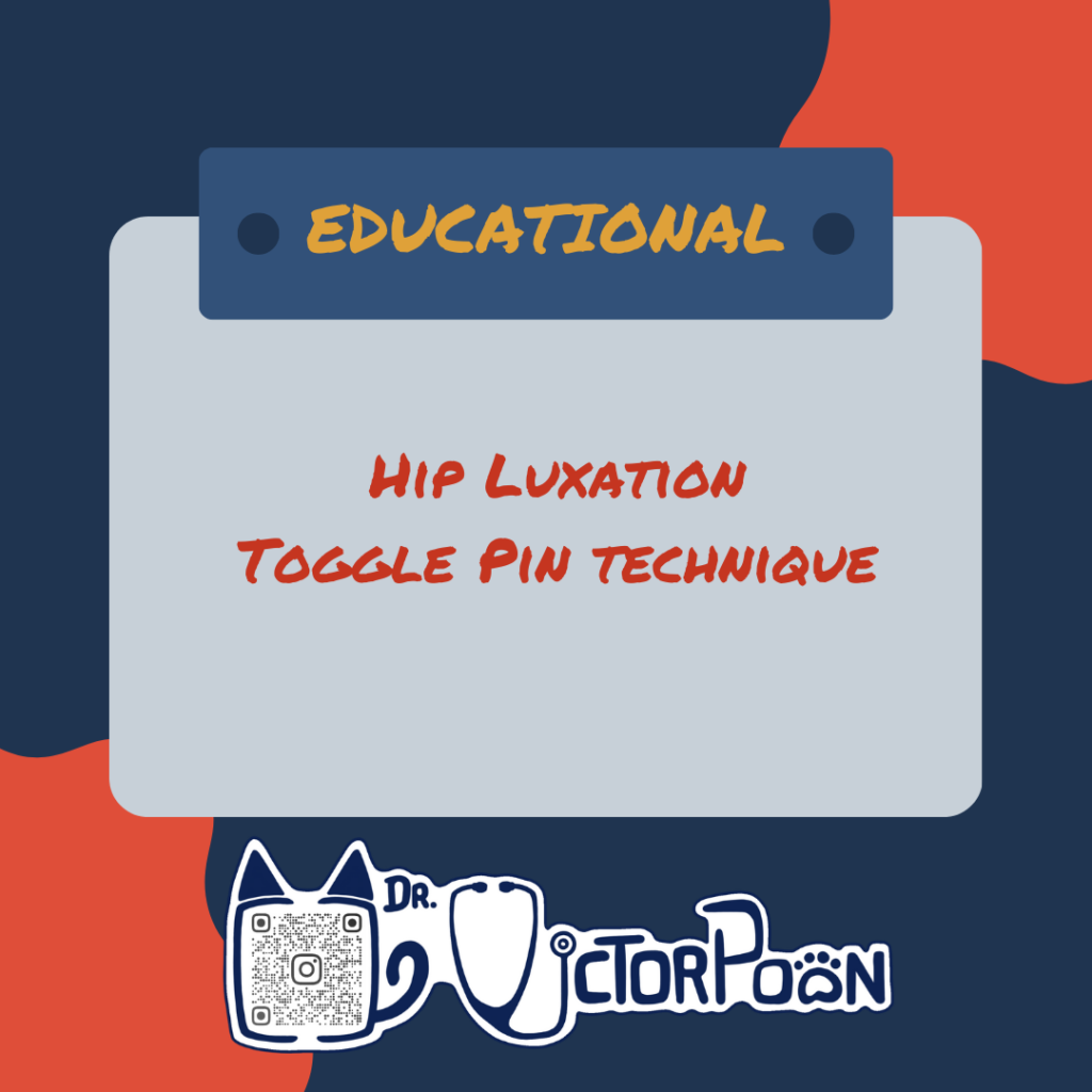 hip luxation – toggle pin technique