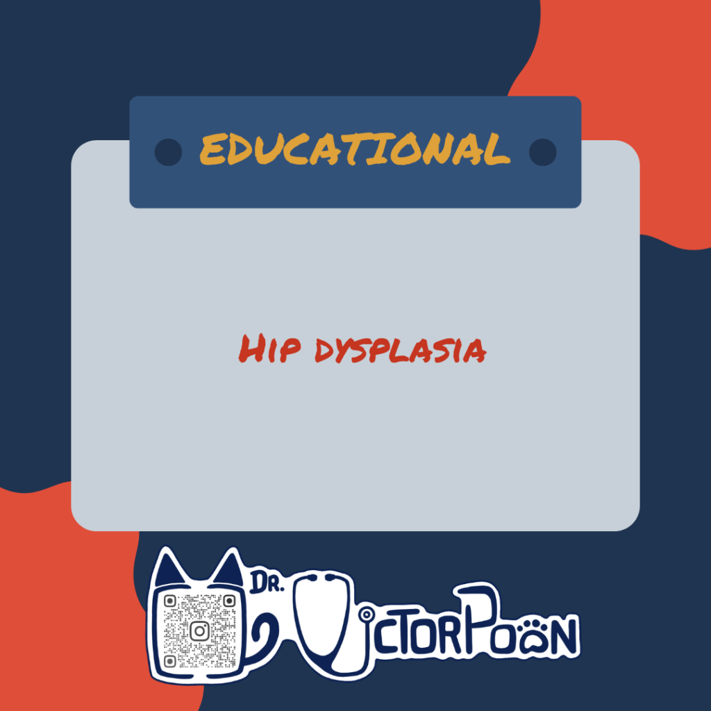 hip dysplasia
