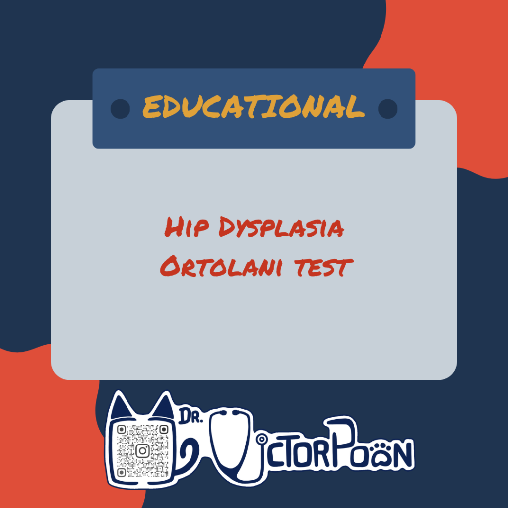 hip dysplasia ortolani test