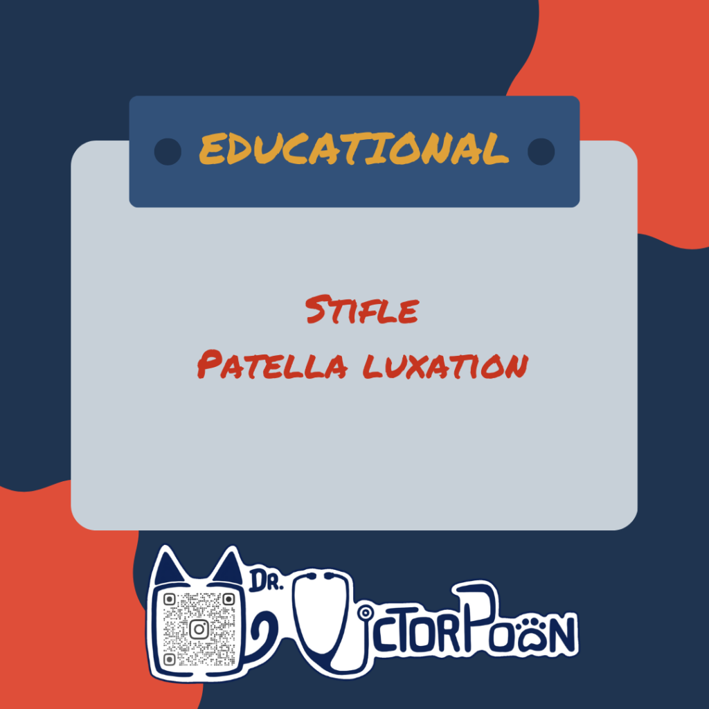 Patella luxation patella luxation