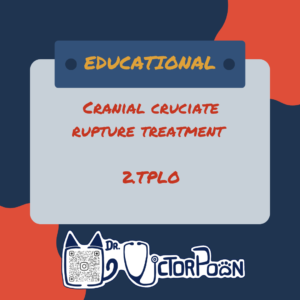 Cranial cruciate rupture – Treatment options: Tibial Plateau Leveling Osteotomy (TPLO)🦵