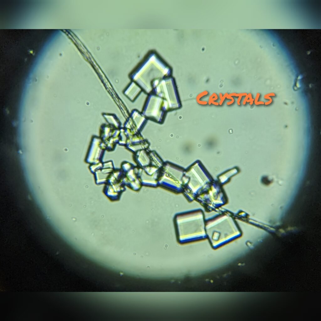 gridart 20221010 113300690