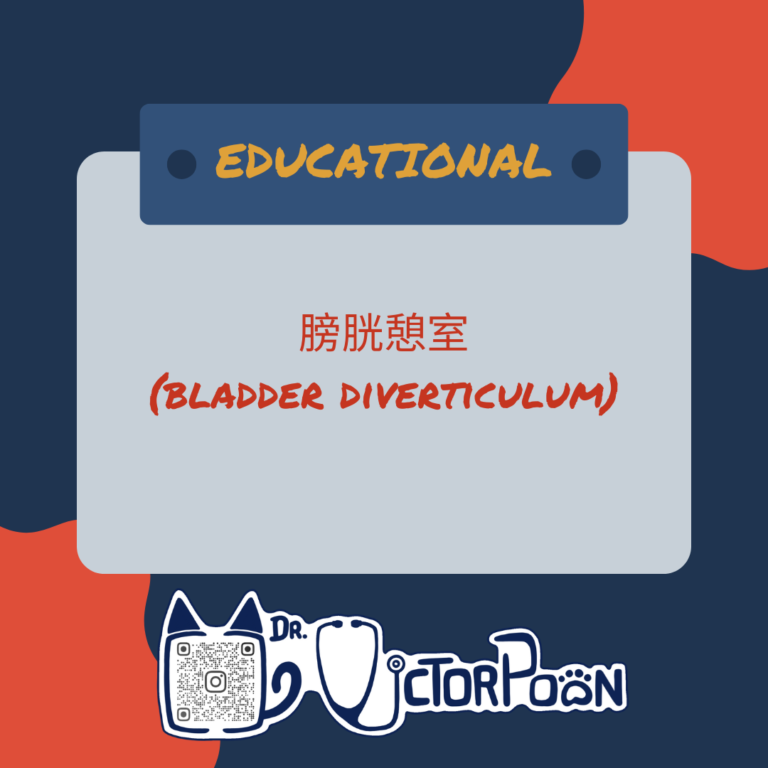 bladder diverc