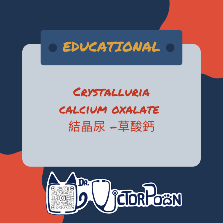 calcium oxalate