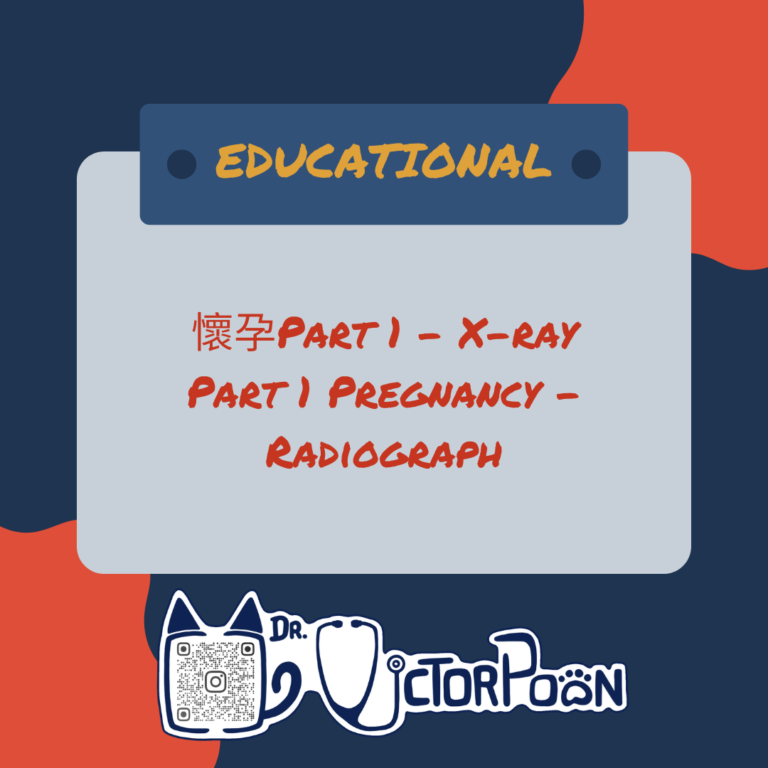 preg1