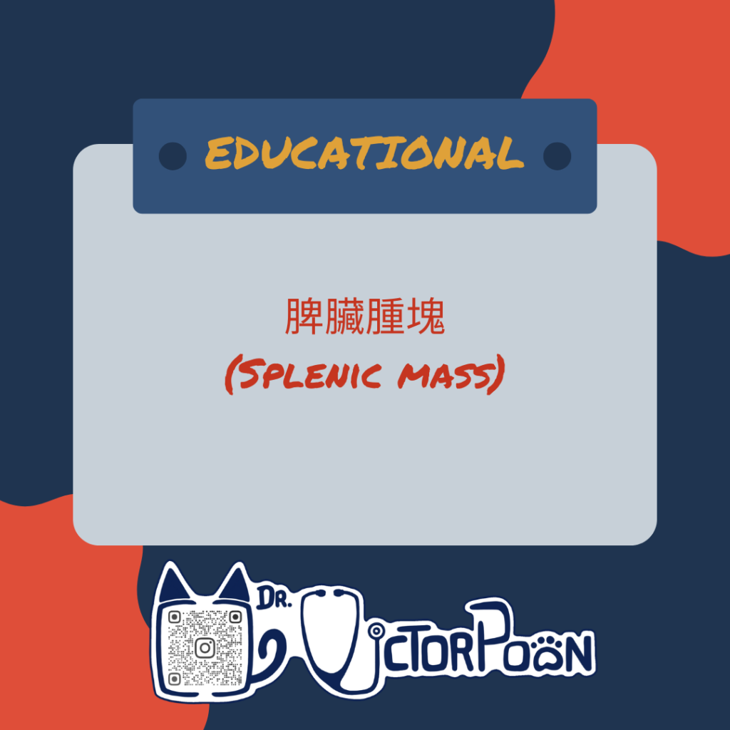 splenic mass