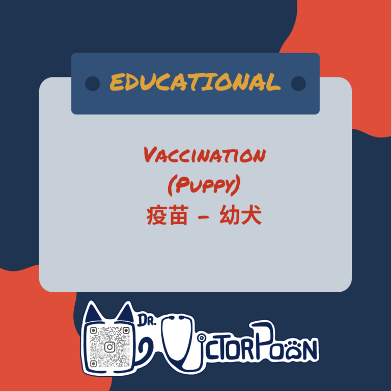 puppy vaccination